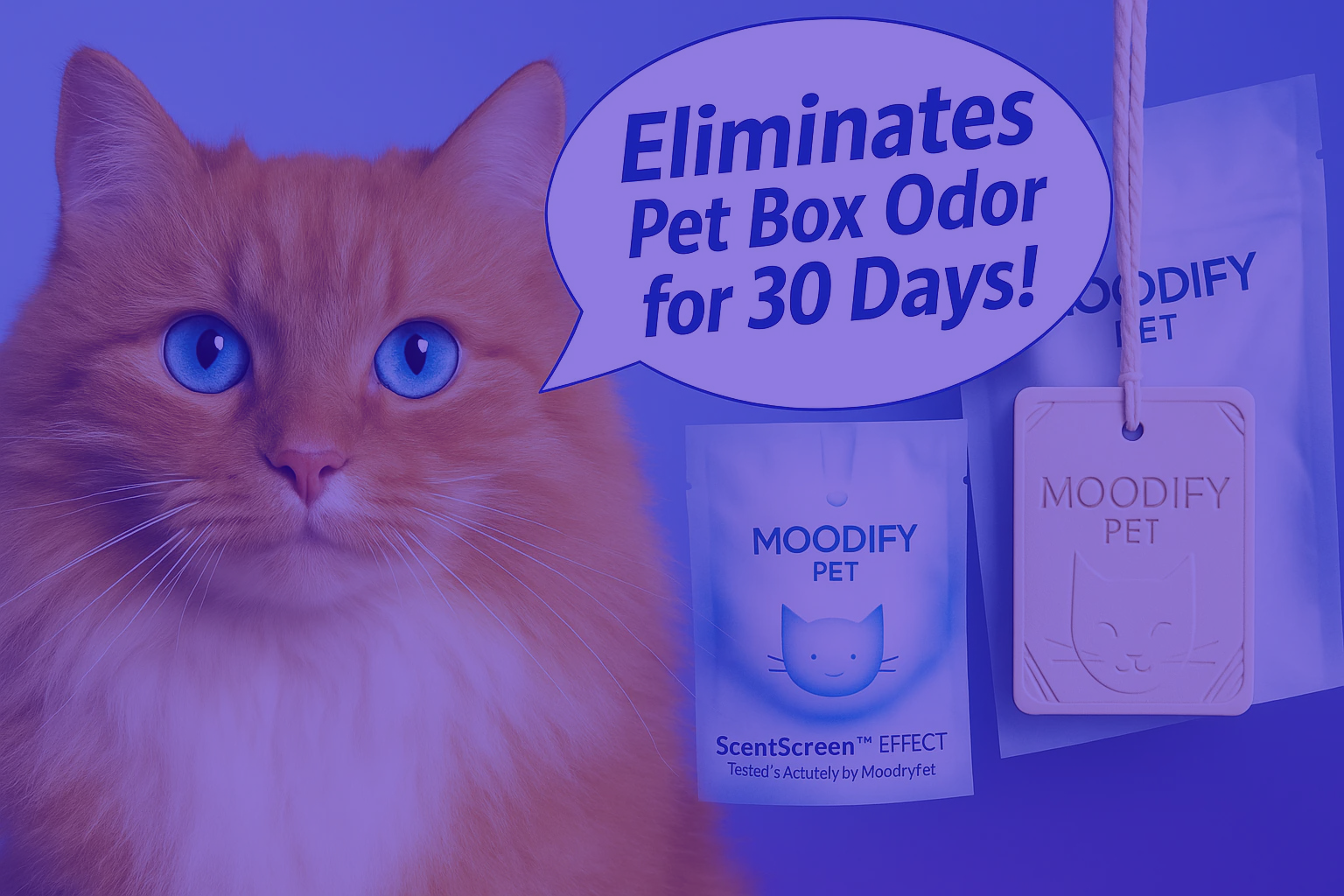 5 Reasons Your Cat’s Litter Box Smells (And How to Fix It!)