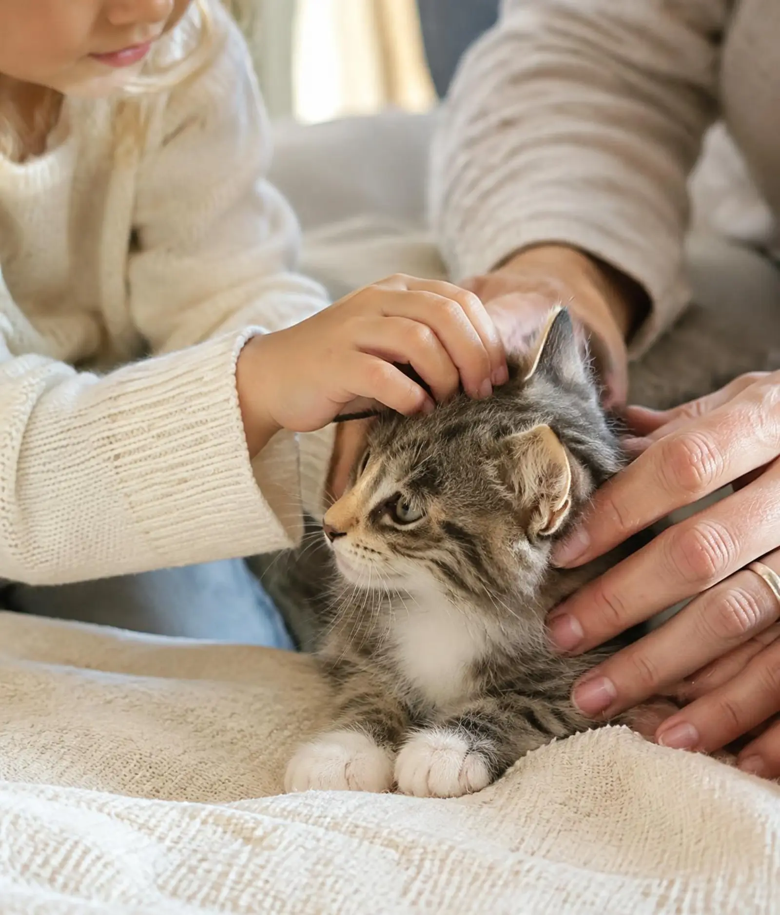 A child and a parent gently petting a tabby kitten