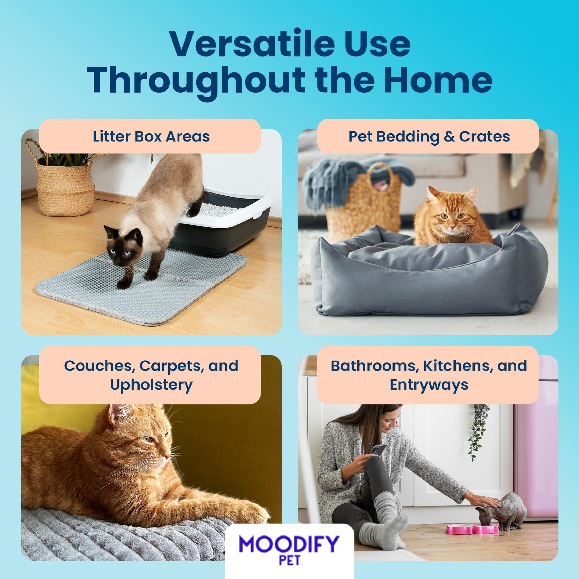 MoodifyPet Odin Special Edition · Cat Litter Odor Neutralizer versatile use — hang near the litter box, inside closets, by the trash can, or in pet carriers to neutralize odors anywhere they hide