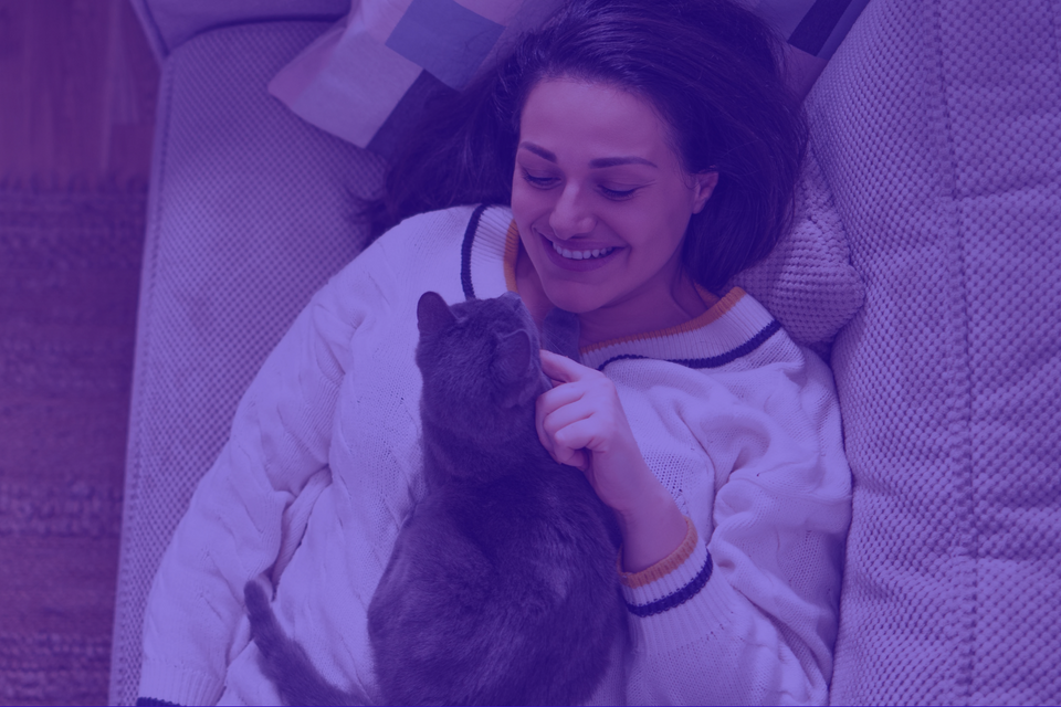 How to Get Rid of Cat Smell and Keep Your Home Fresh