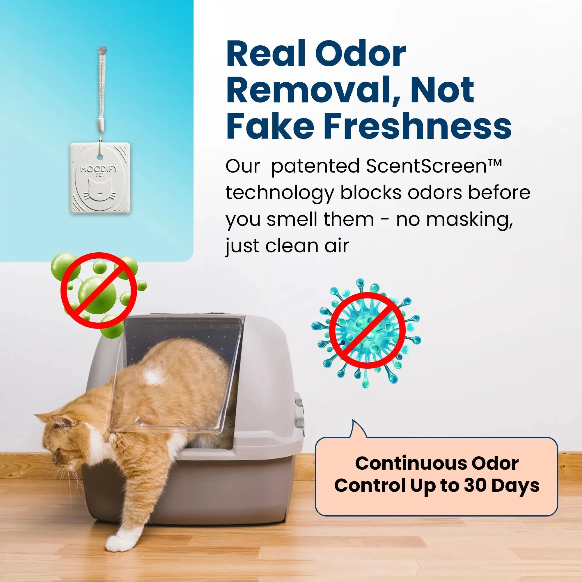 MoodifyPet MultiCat 4 Pack MoodifyPet