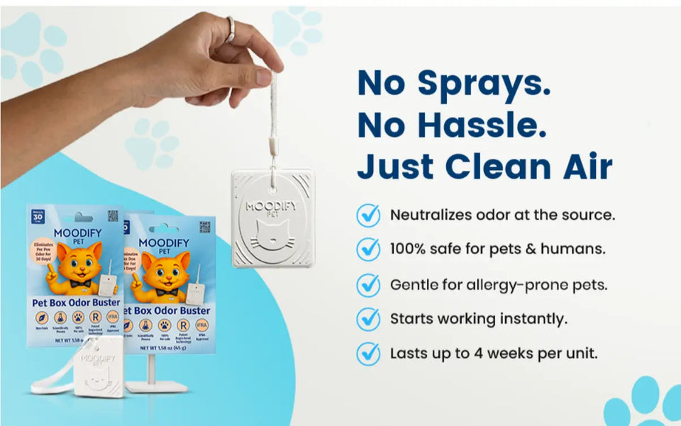 MoodifyPet Multi Cat Annual Kit – 12 Months Litter Box Odor Elimination MoodifyPet